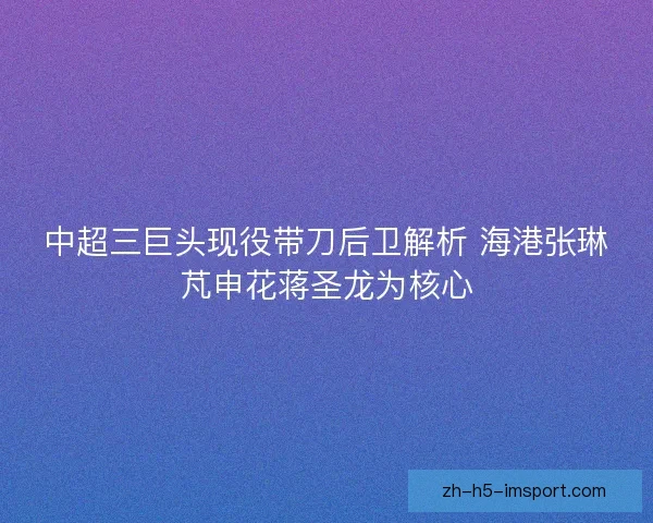 中超三巨头现役带刀后卫解析 海港张琳芃申花蒋圣龙为核心